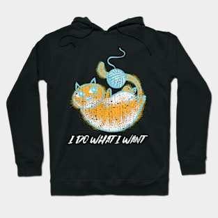 I do what I want Funny knitting cat Hoodie